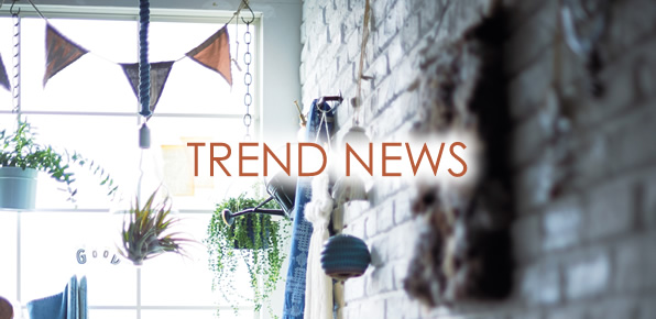 TREND NEWS