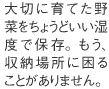大切に育てた野菜をちょうどいい湿度で保存。もう、収納場所に困ることがありません。